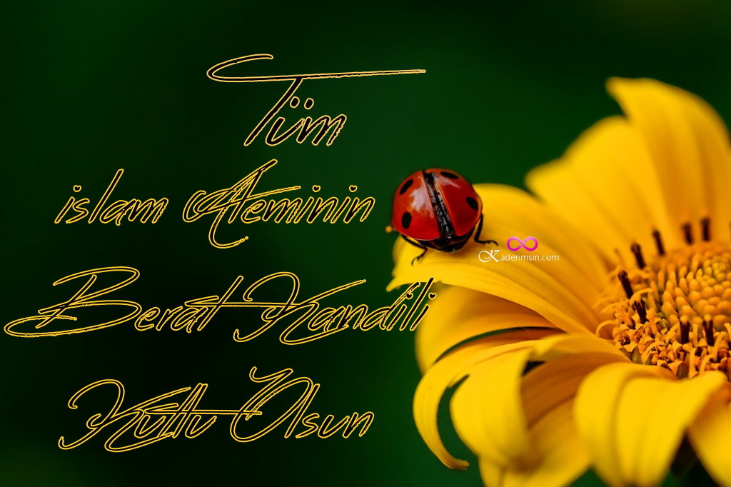 Huzurlu Kandiller Kandiliniz Mübarek Olsun