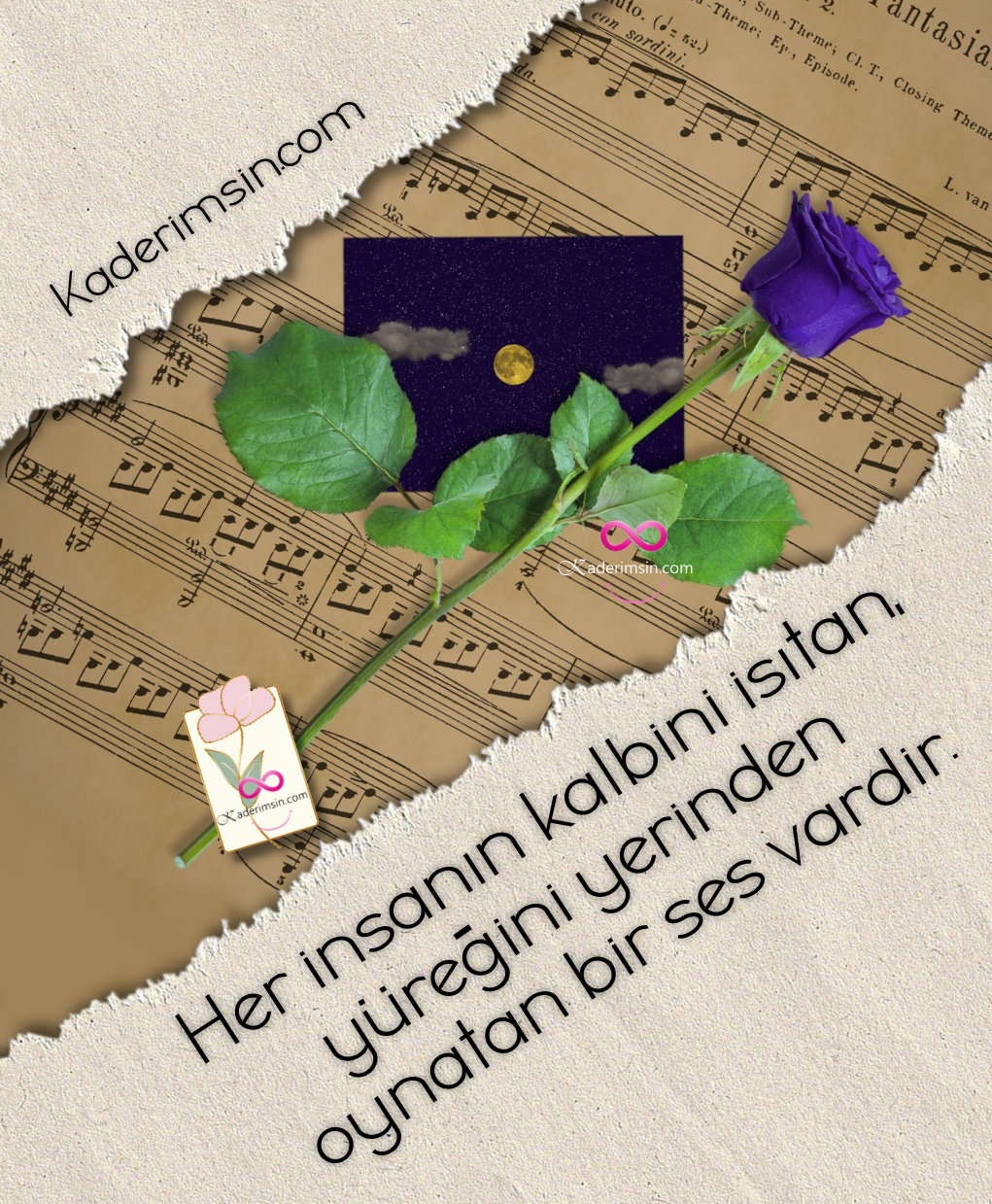 Her insanin kalbini isitan, yüregini yerinden oynatan bir ses vardir. Her insanin kalbini