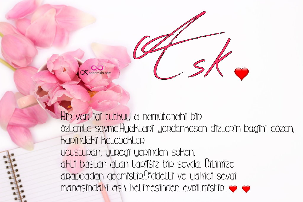 Askla ilgili sözler Ask