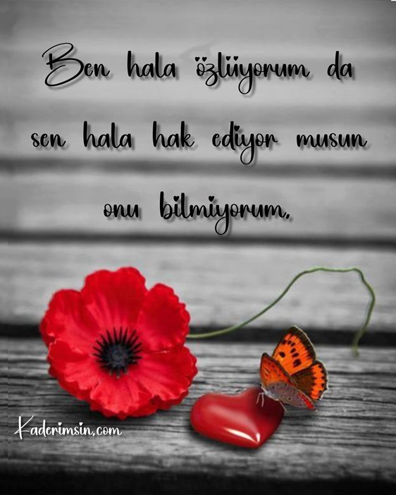 Kaderimsin Duygularımız bize ne anlatıyor? Kaderimsin