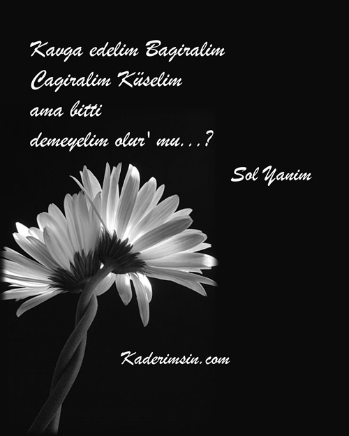Şimdi daha iyi anlıyorum ki nefes almak değilmiş yaşamak, ateşlerde yanmak gibi bir şey severken bile sensiz olmak. Özelm Özleme Dayir en güzel Kisa Uzun Sözler