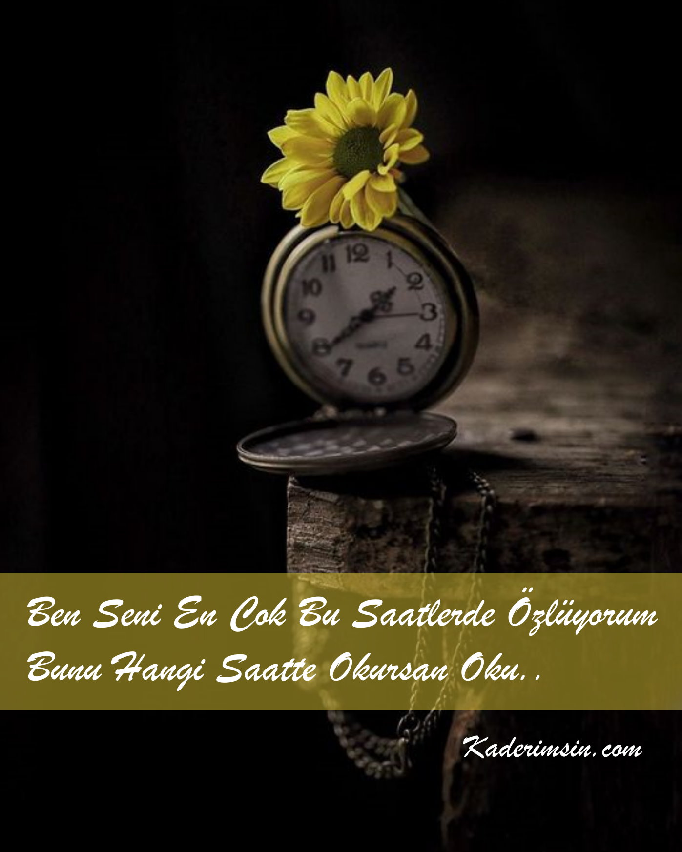 Seni özledim diyorsam bil diye değil, gel diye! Özledim Kisa Sözler