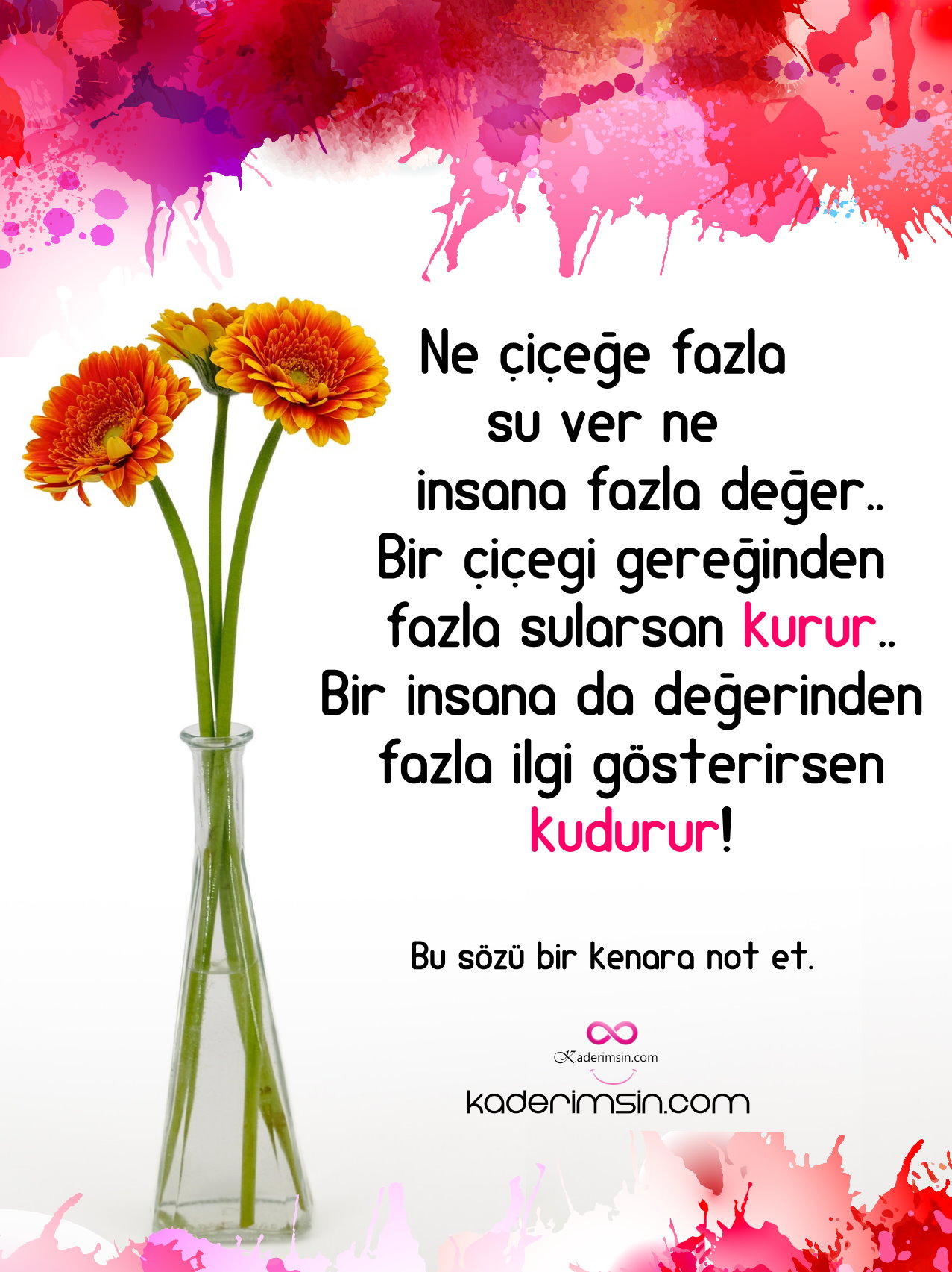 Ne cicege fazla su ver ne insana fazl deger..Bir cicege gereginden fazla su verirsen kurur.Bir insanada degerinden fazla deger verirsen kudurur.. Ne cicege fazla su ver ne insana