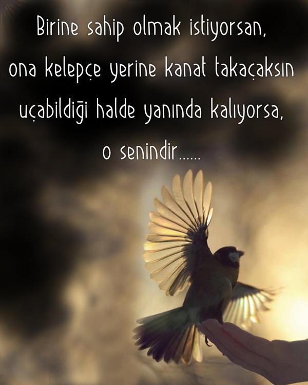 Kaderimsin Resimli Ayrilik sözleri Resimli Ayrilik sözleri