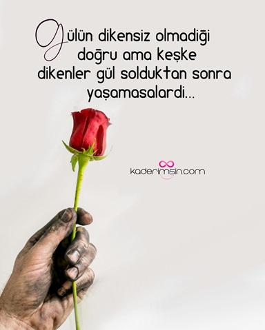 Ömrümün Geri Kalanı Canım Sevgilime; Sevgiliye Romantik Aşk Mektubu Örneği aşk mektubu sözleri