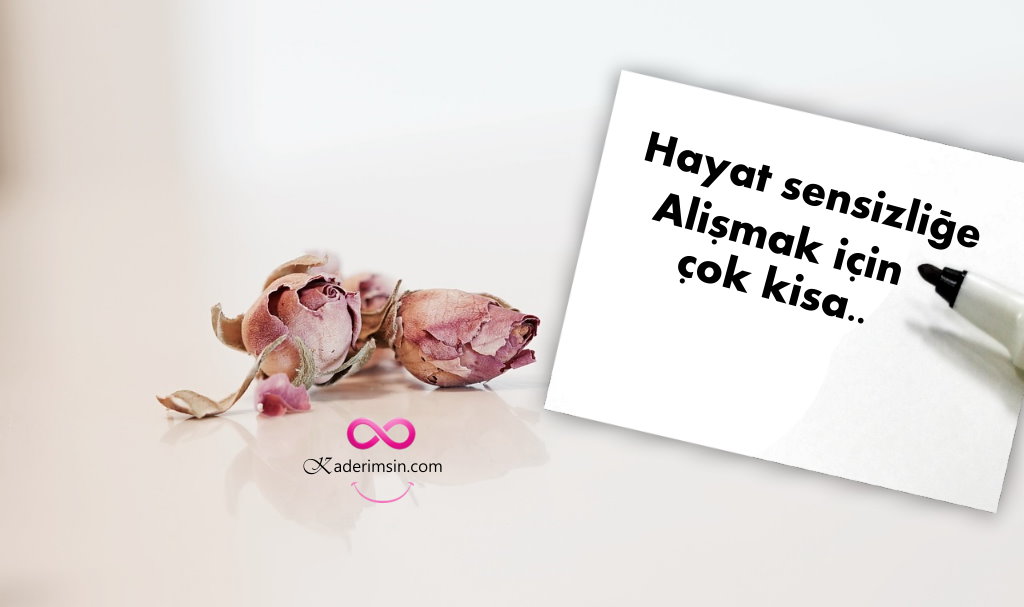 Hayat sensizlige alismak icin cok kisa.. Hayat sensizlige
