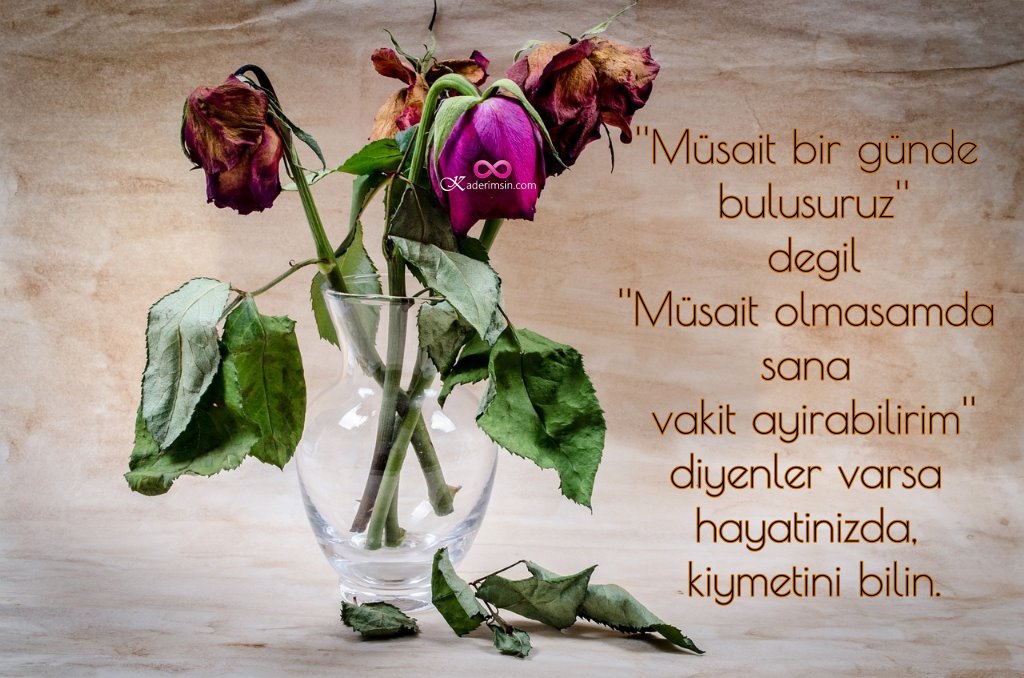 Kaderimsin sitem sözleri Kaderimsin