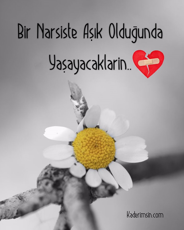 Kaderimsin Ayrilik iste gittim Ayrilik iste gittim