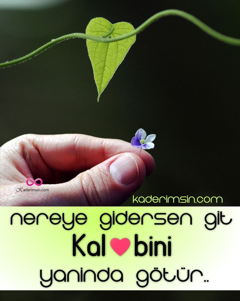 Nereye gidersen git Kalbini yaninda götür. Nereye gidersen git