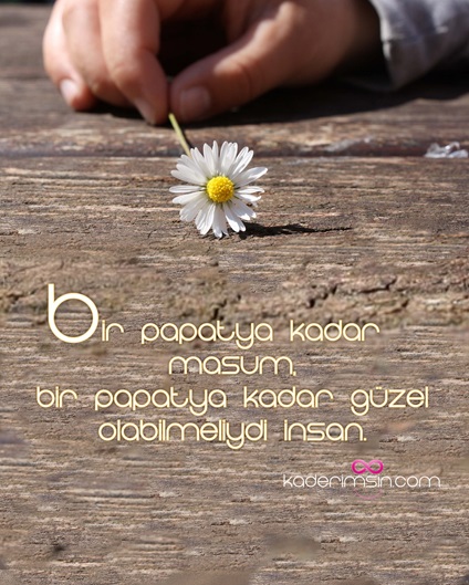 Hayatımın Anlamı, Yaşama Sebebime; Sevgiliye Mektup Örneği aşk mektubu örnekleri