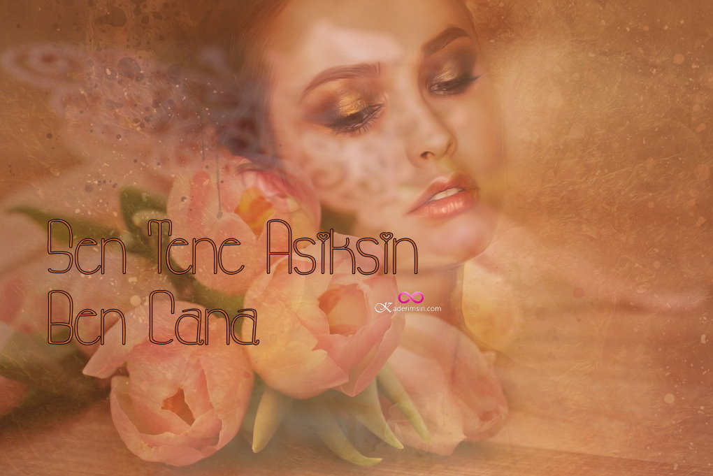 Sen Tene Aşıksın Ben Cana Sen Tene Aşıksın Ben Cana