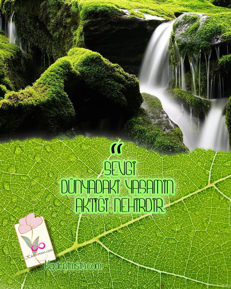 Sevgi Dünyadaki Yasamin Aktigi Nehirdir. Sevgi
